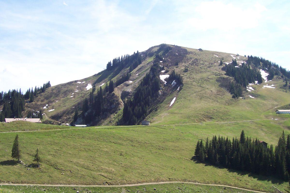 Bild vergr&ouml;ssern