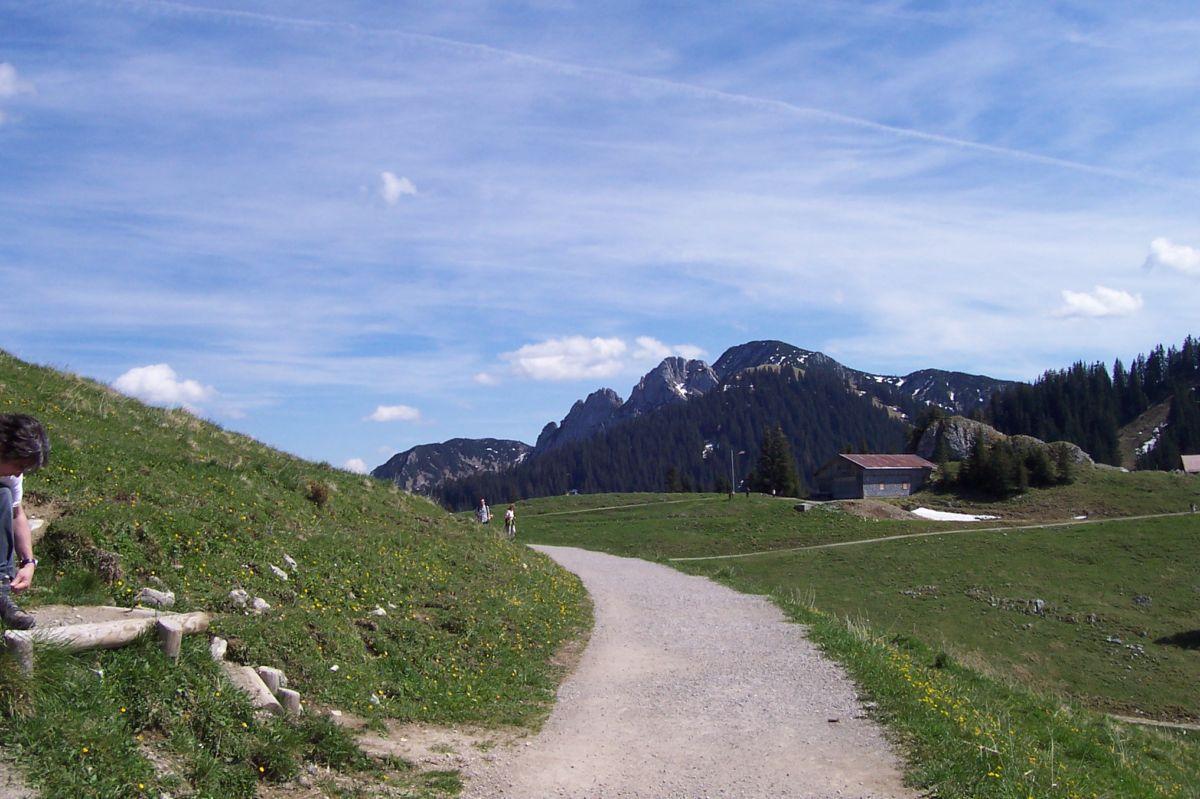 Bild vergr&ouml;ssern