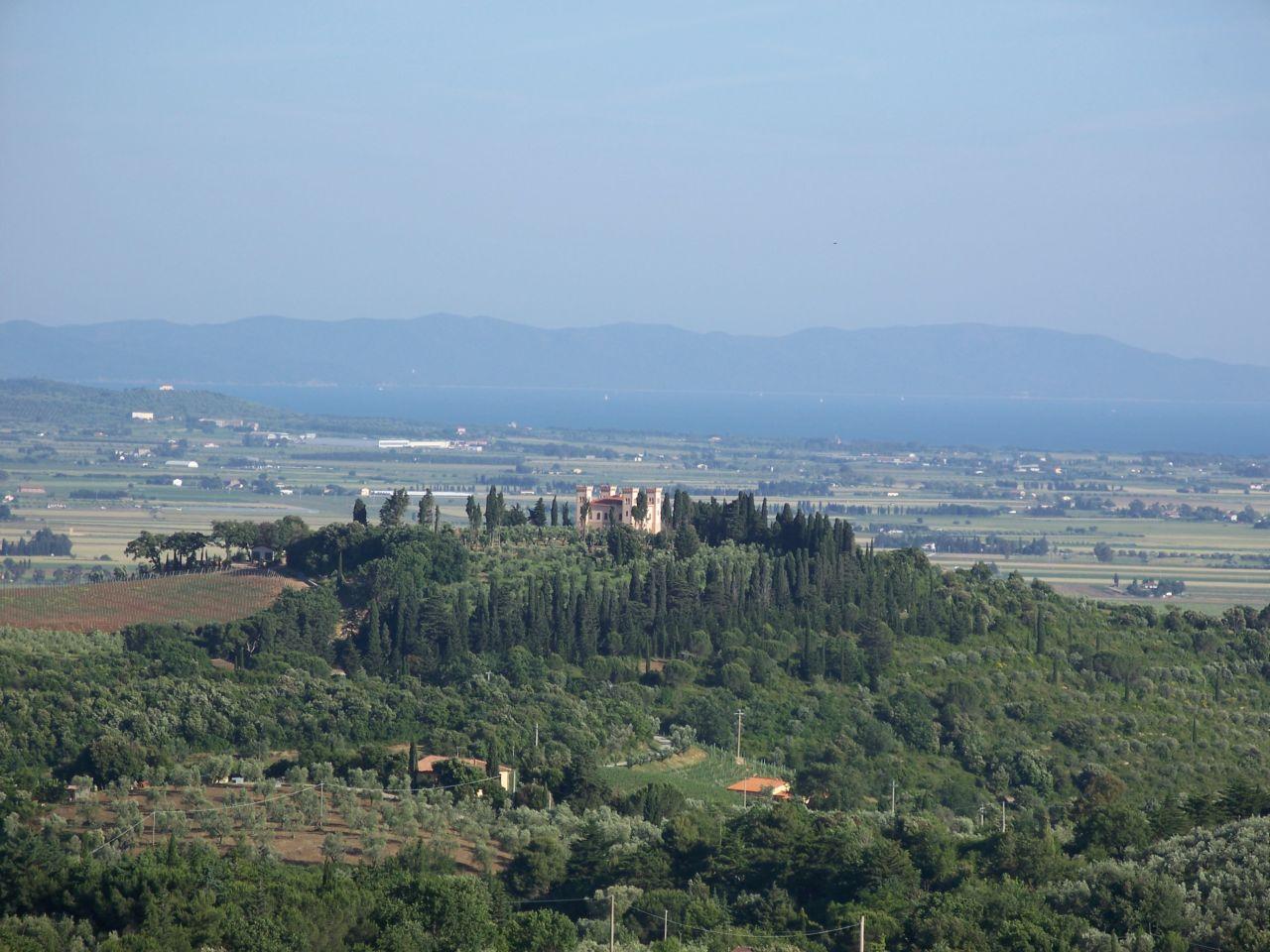 Bild vergr&ouml;ssern