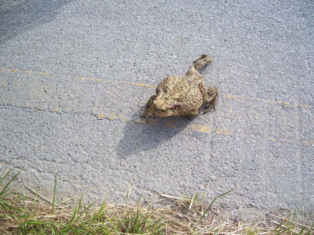 Bild vergr&ouml;ssern