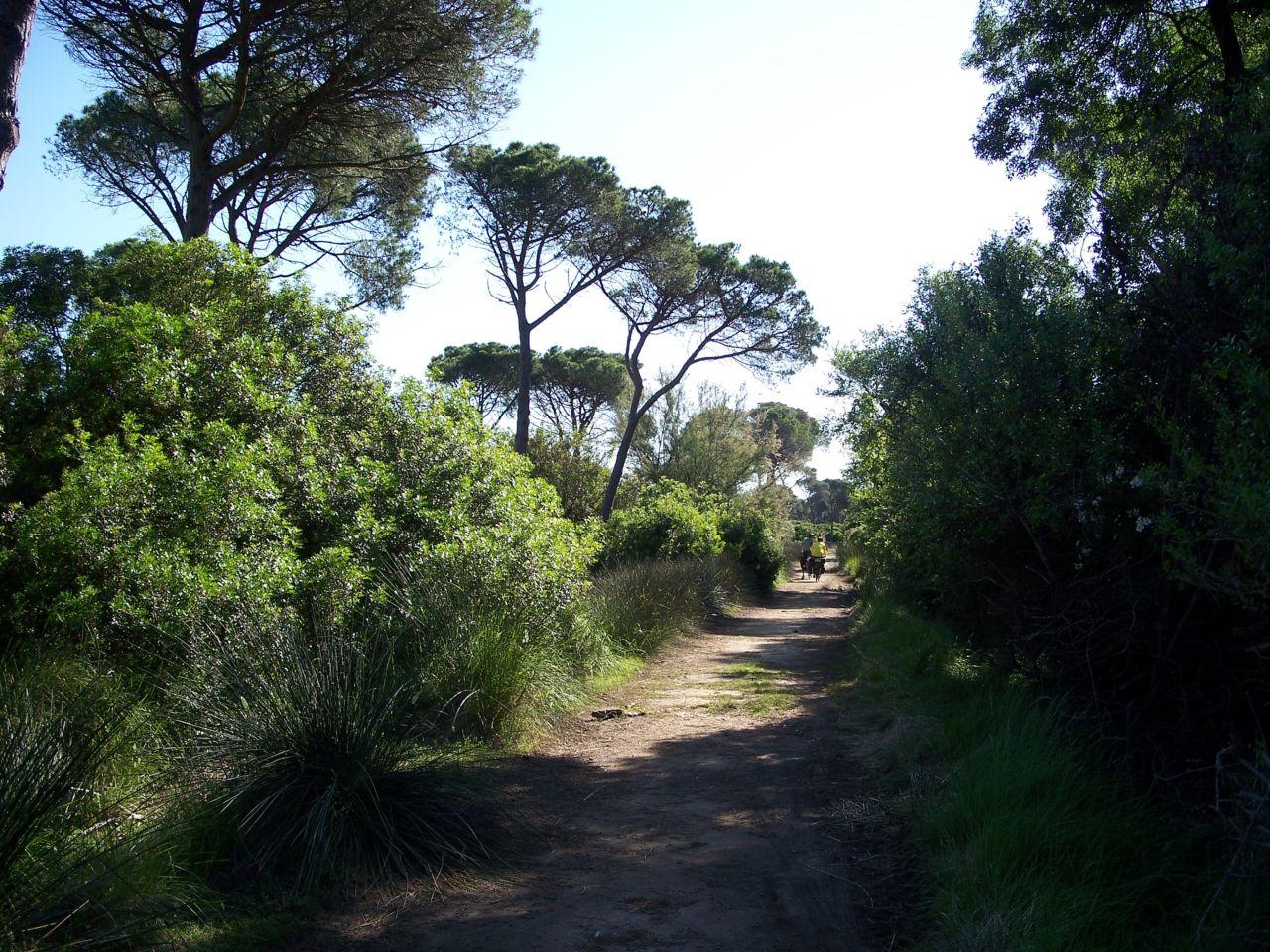 Bild vergr&ouml;ssern