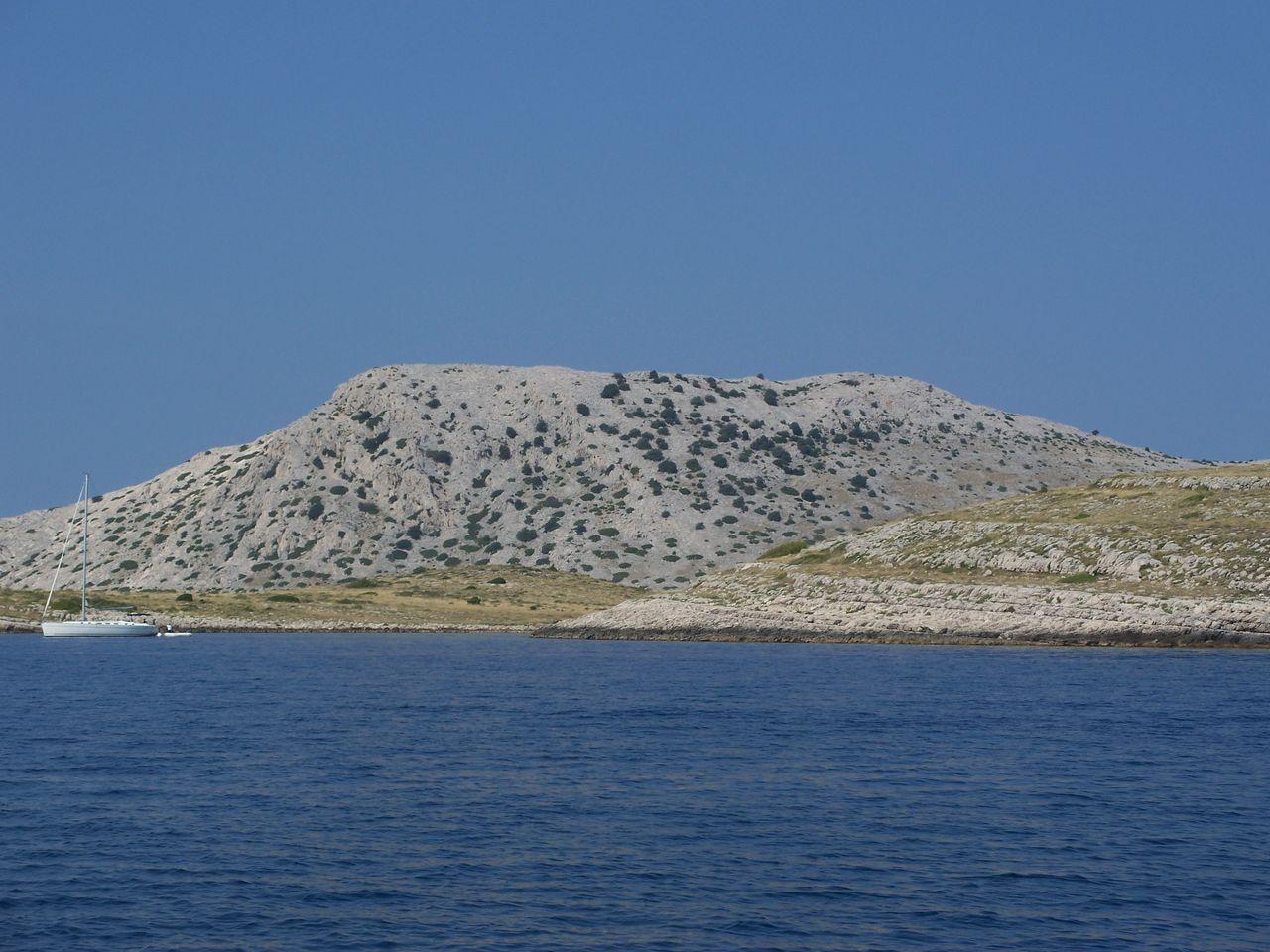 Bild vergr&ouml;ssern