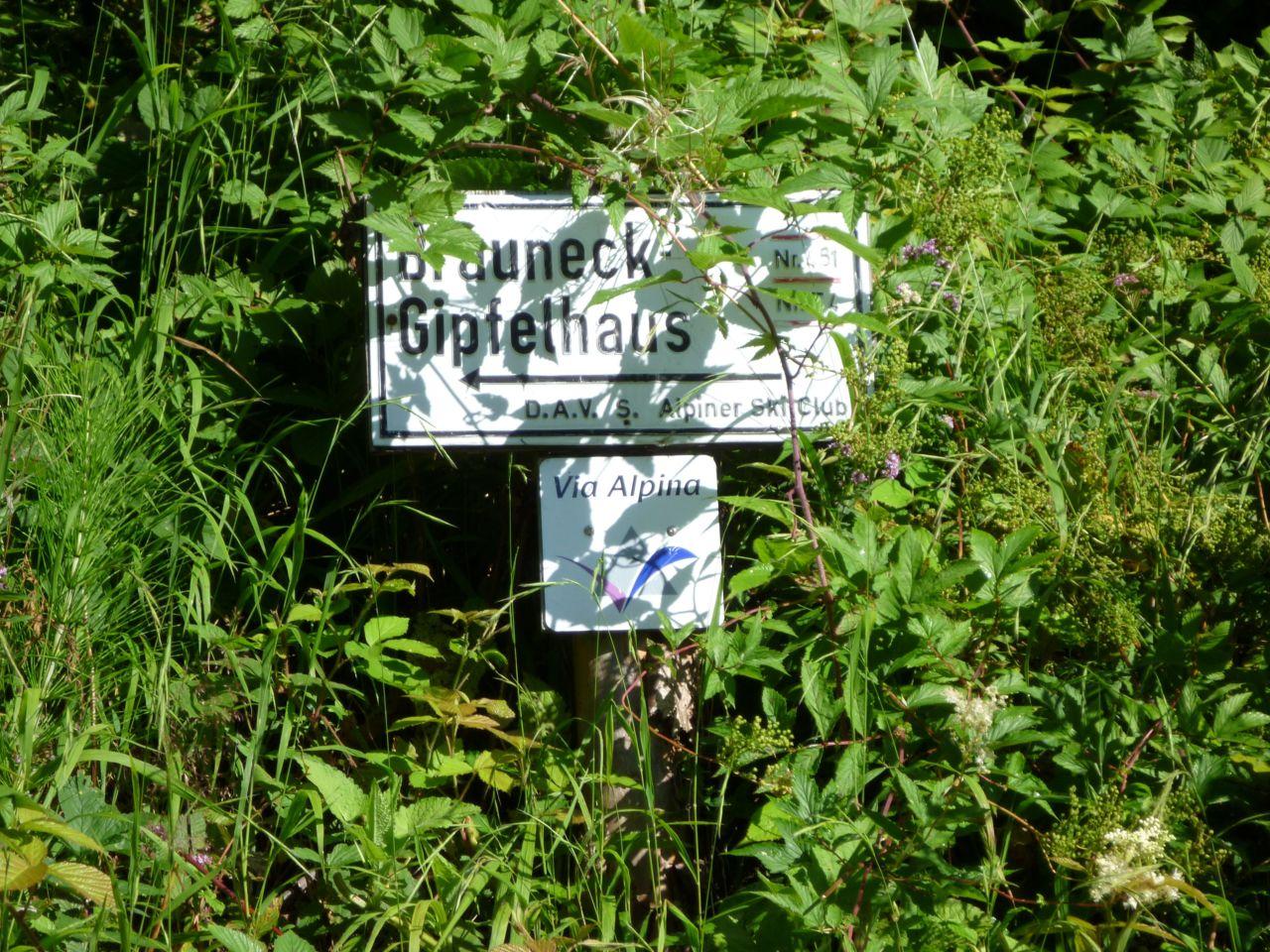 Bild vergr&ouml;ssern