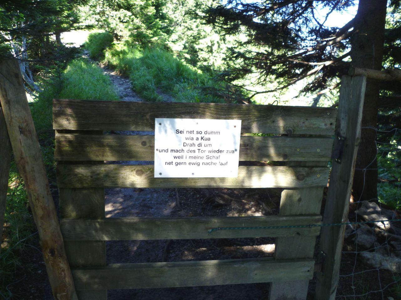 Bild vergr&ouml;ssern