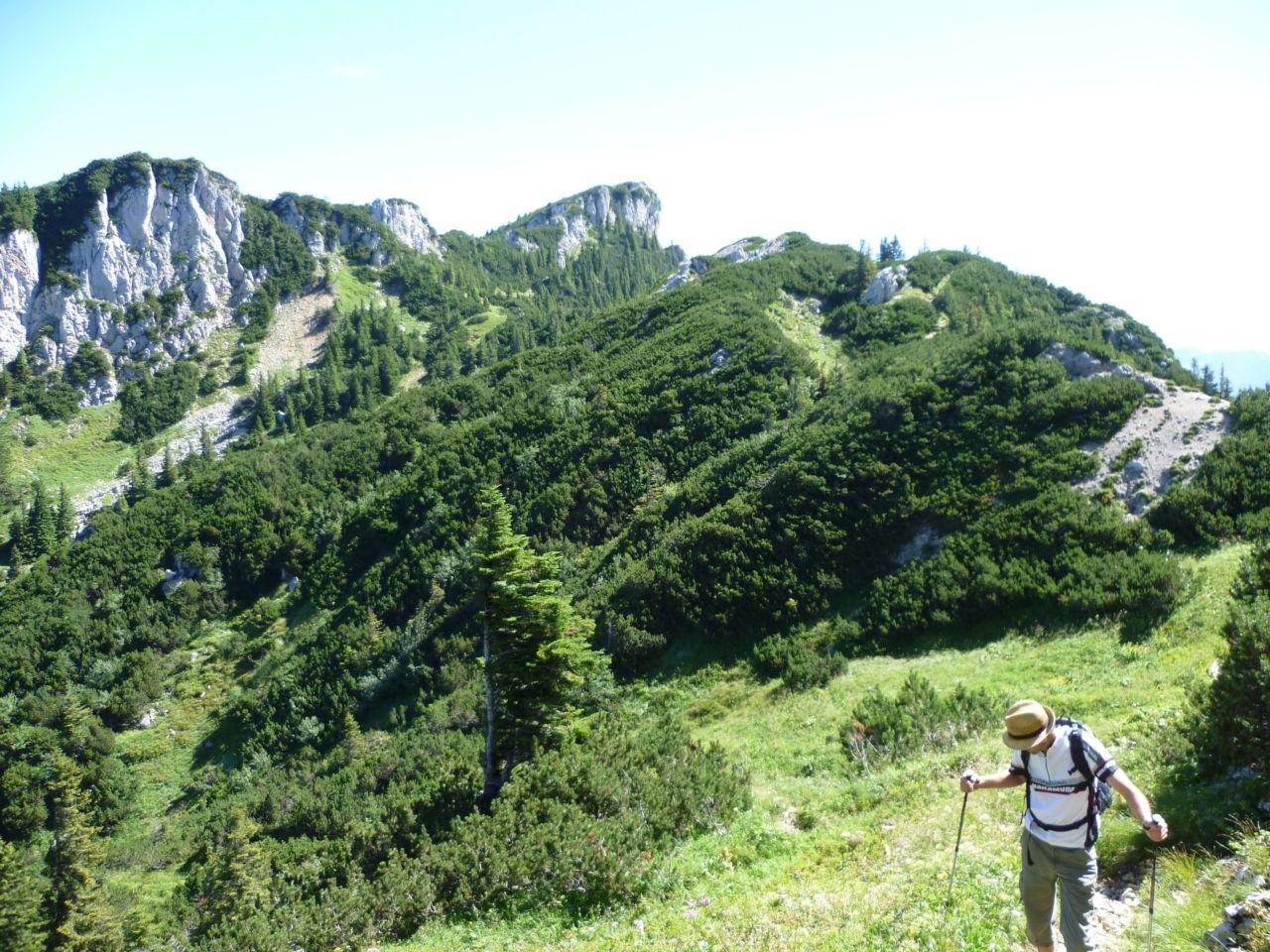 Bild vergr&ouml;ssern