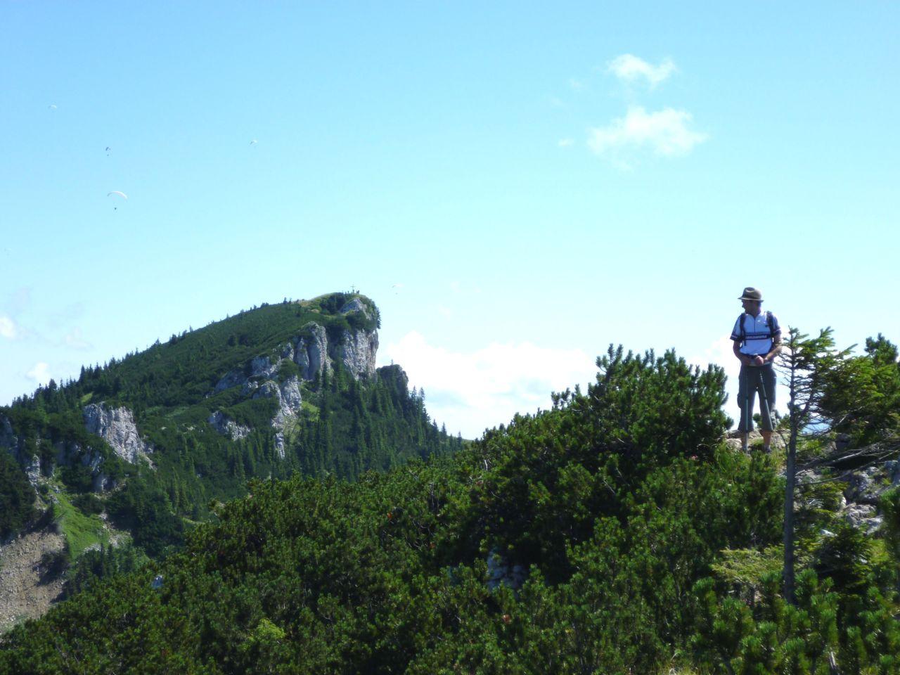 Bild vergr&ouml;ssern