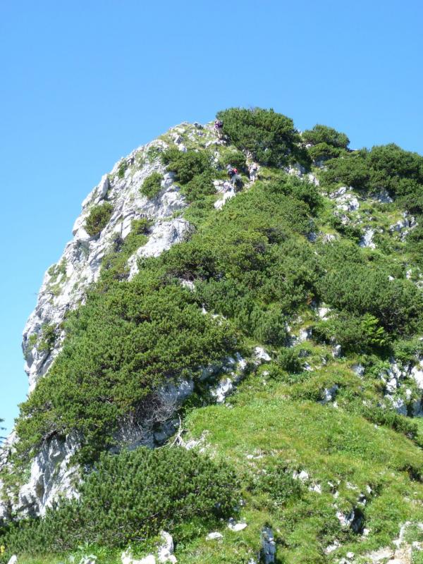 Bild vergr&ouml;ssern