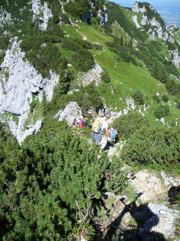 Bild vergr&ouml;ssern