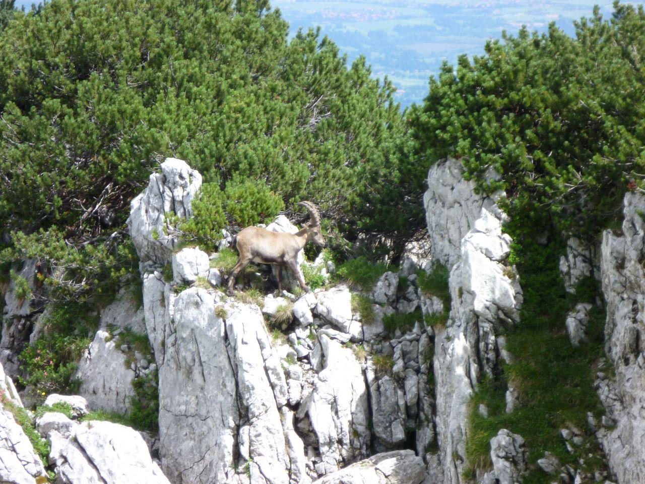 Bild vergr&ouml;ssern