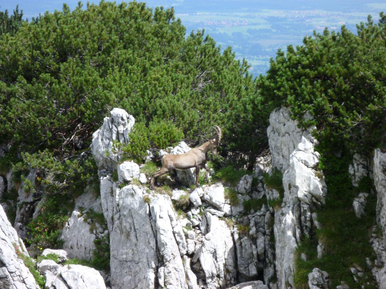 Bild vergr&ouml;ssern