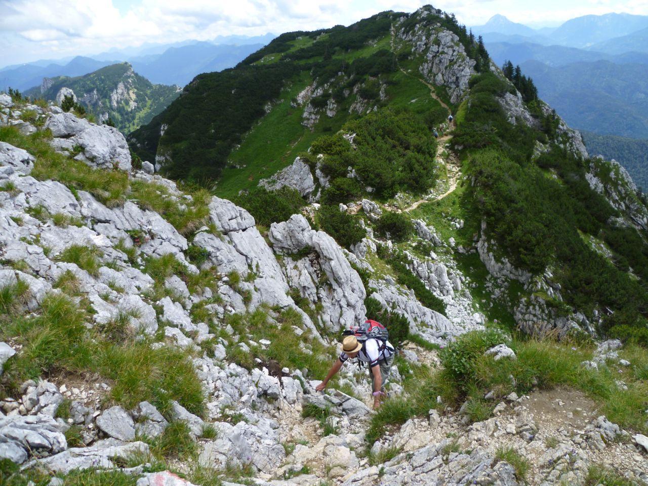 Bild vergr&ouml;ssern