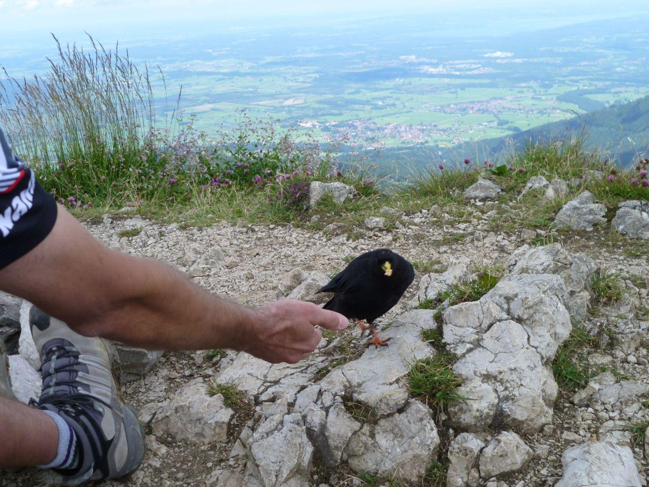 Bild vergr&ouml;ssern