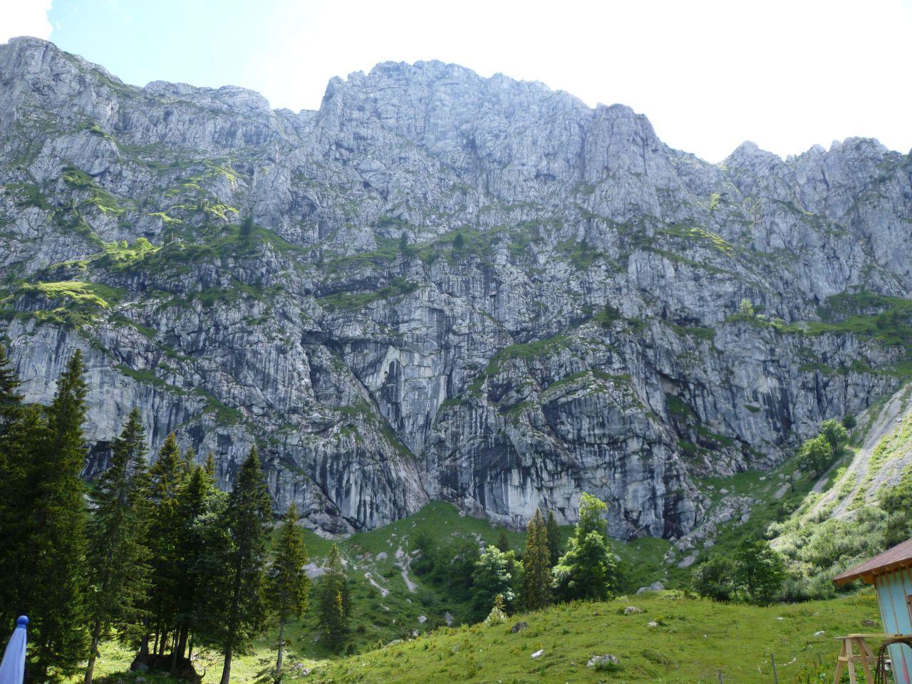 Bild vergr&ouml;ssern