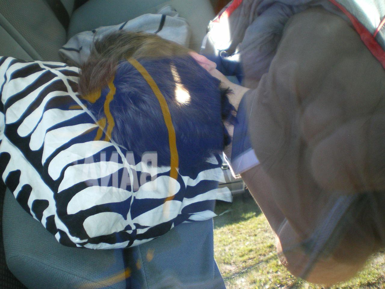 Bild vergr&ouml;ssern