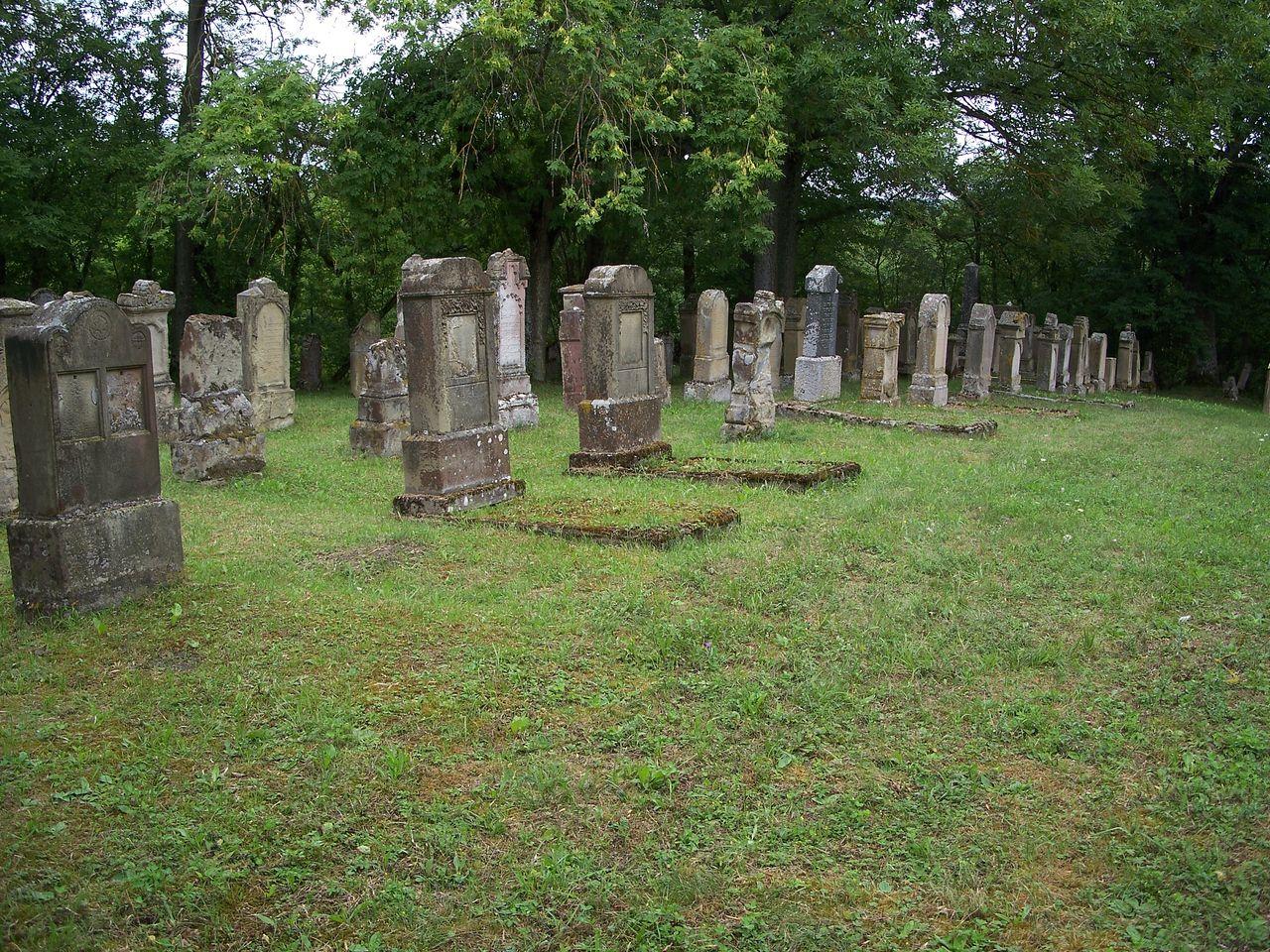 Bild vergr&ouml;ssern