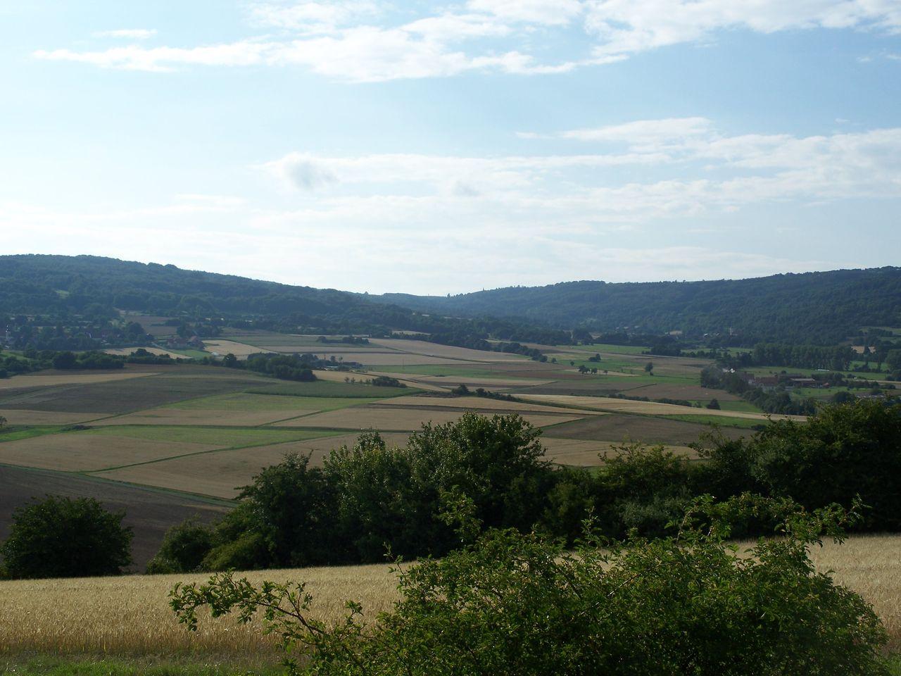 Bild vergr&ouml;ssern