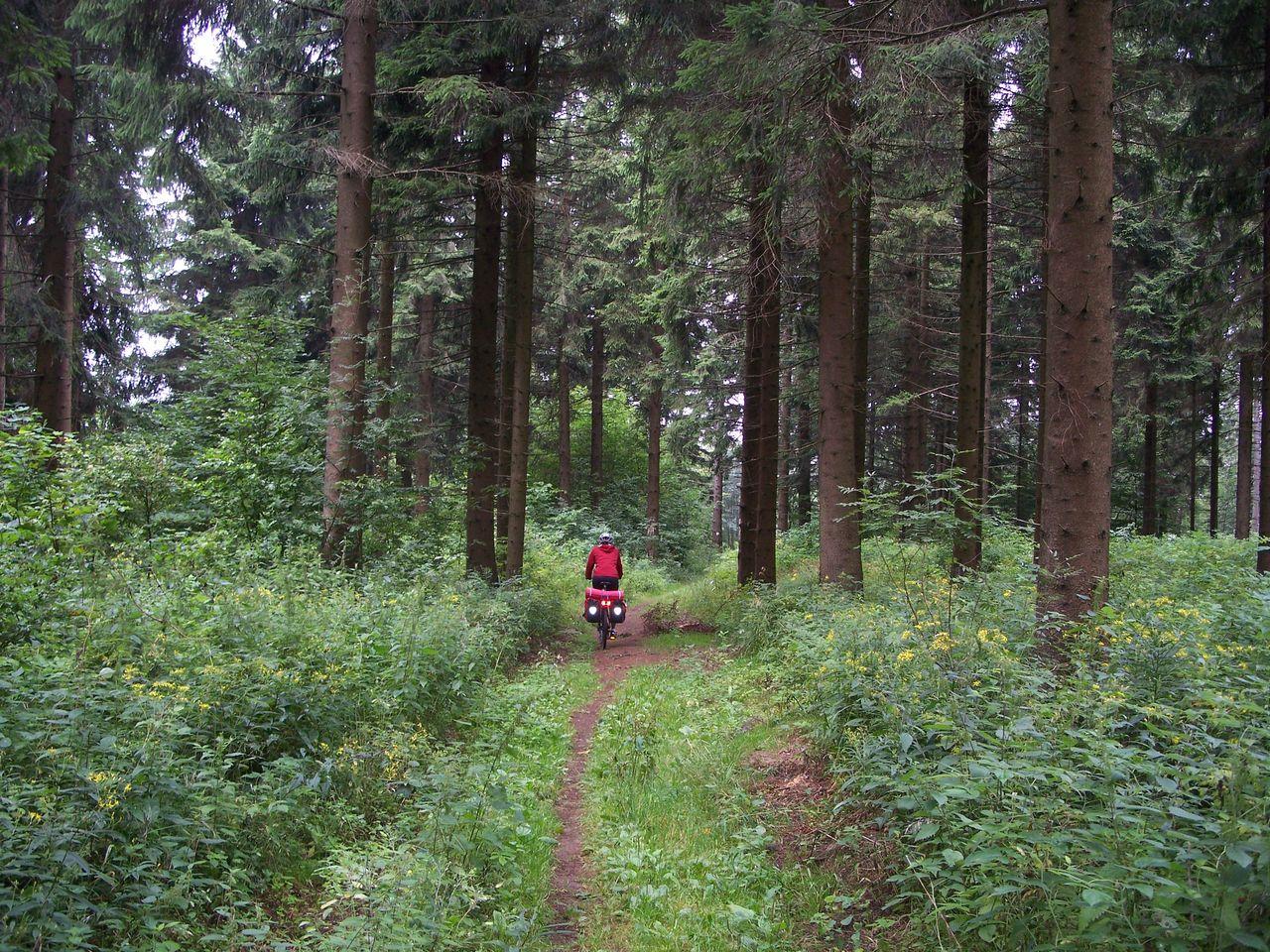 Bild vergr&ouml;ssern