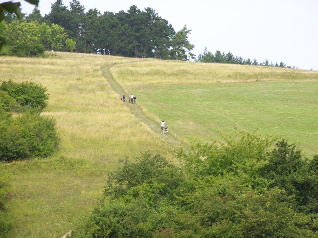 Bild vergr&ouml;ssern