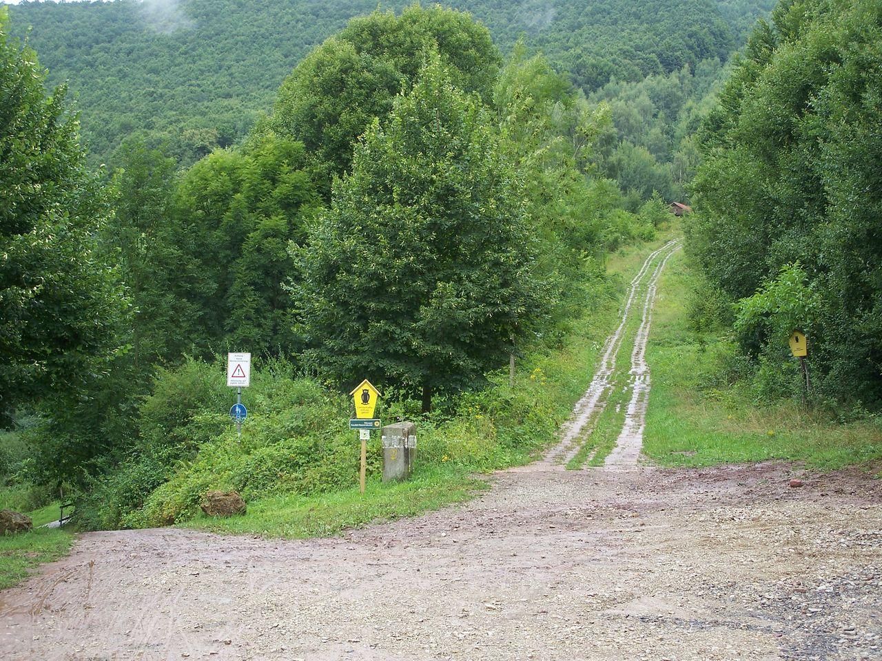 Bild vergr&ouml;ssern