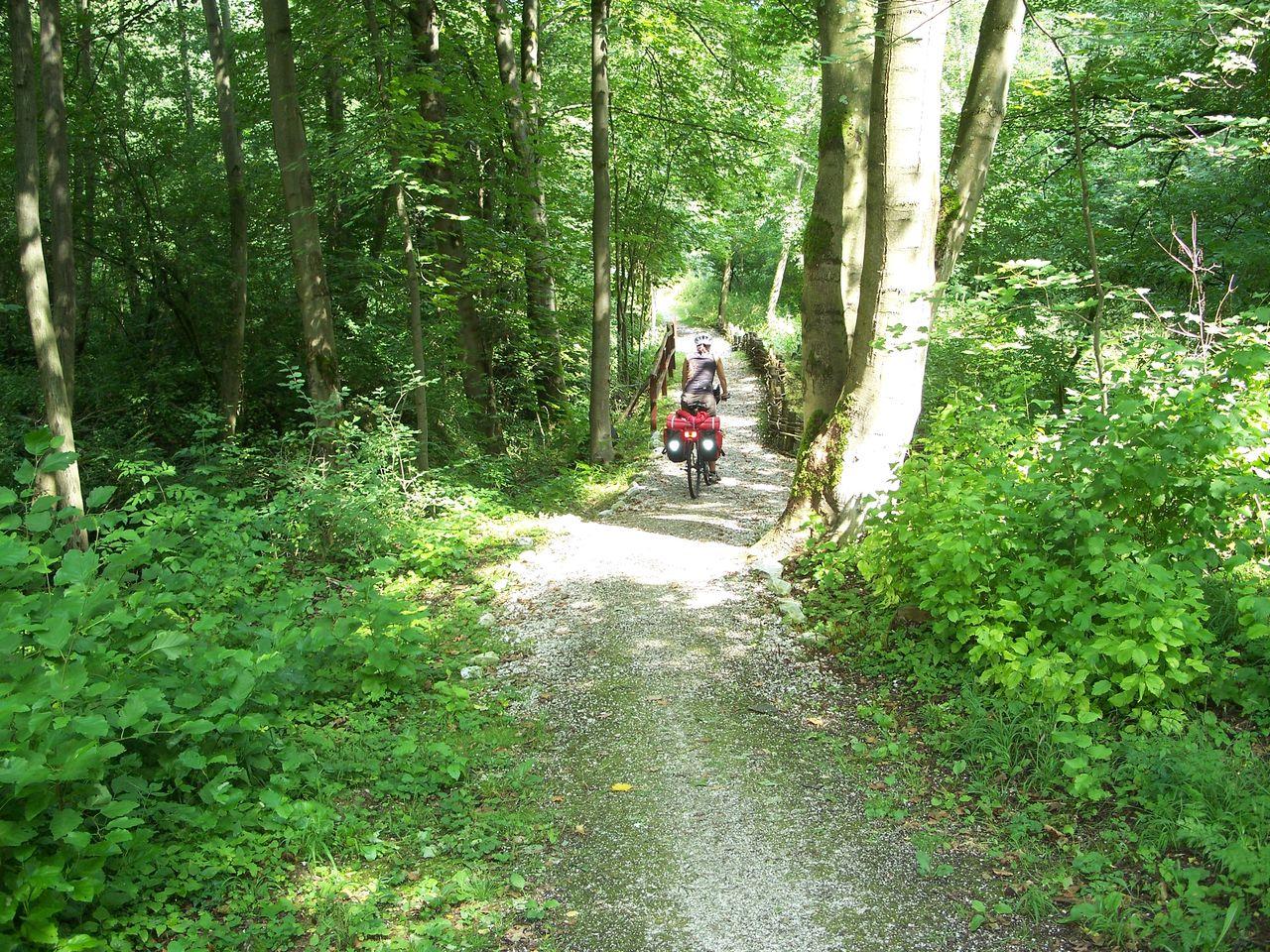 Bild vergr&ouml;ssern