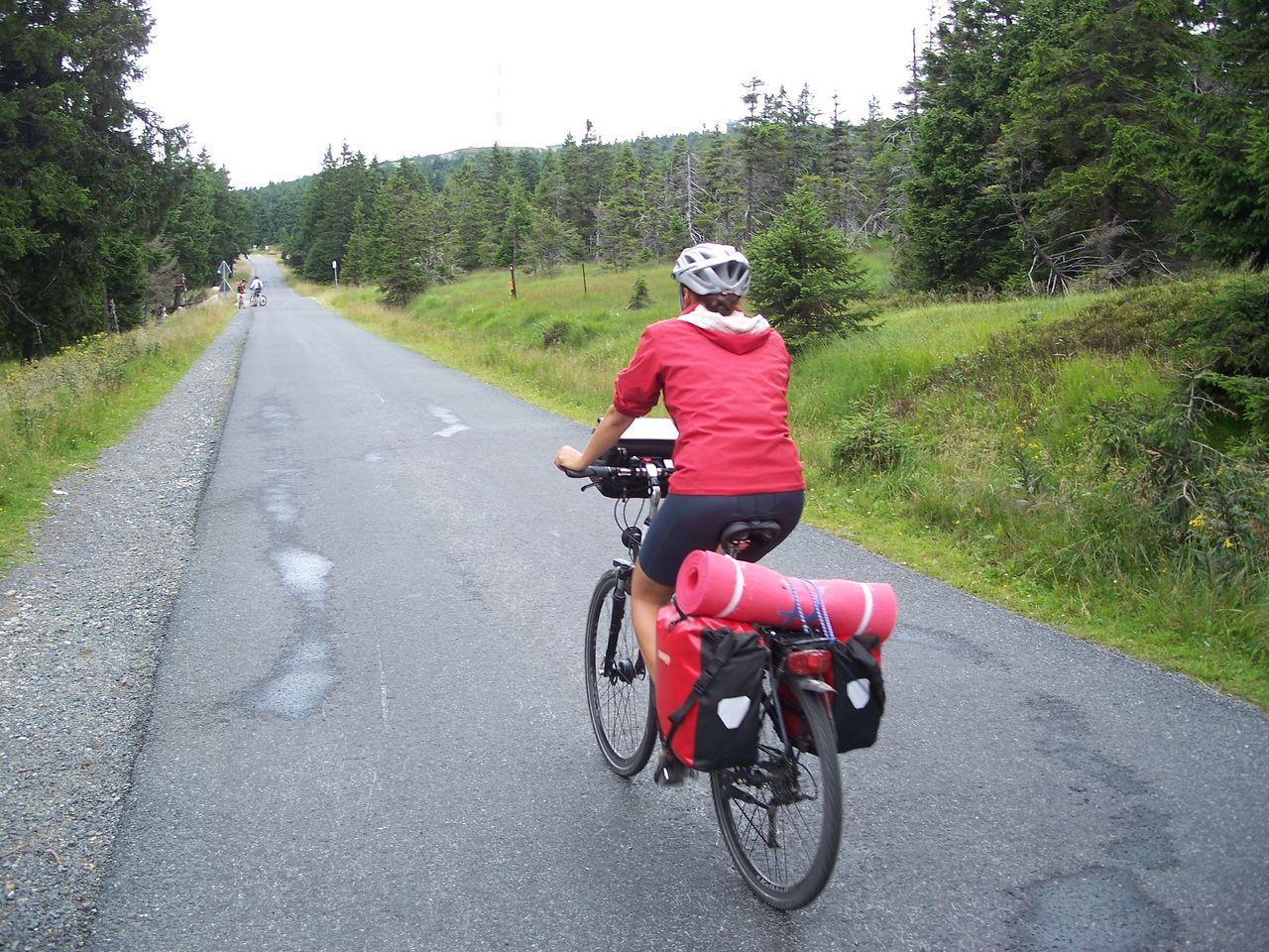 Bild vergr&ouml;ssern