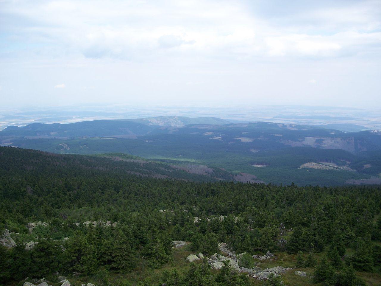 Bild vergr&ouml;ssern