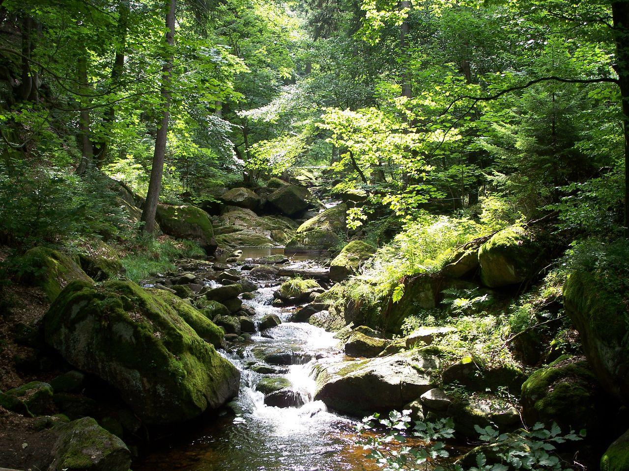 Bild vergr&ouml;ssern