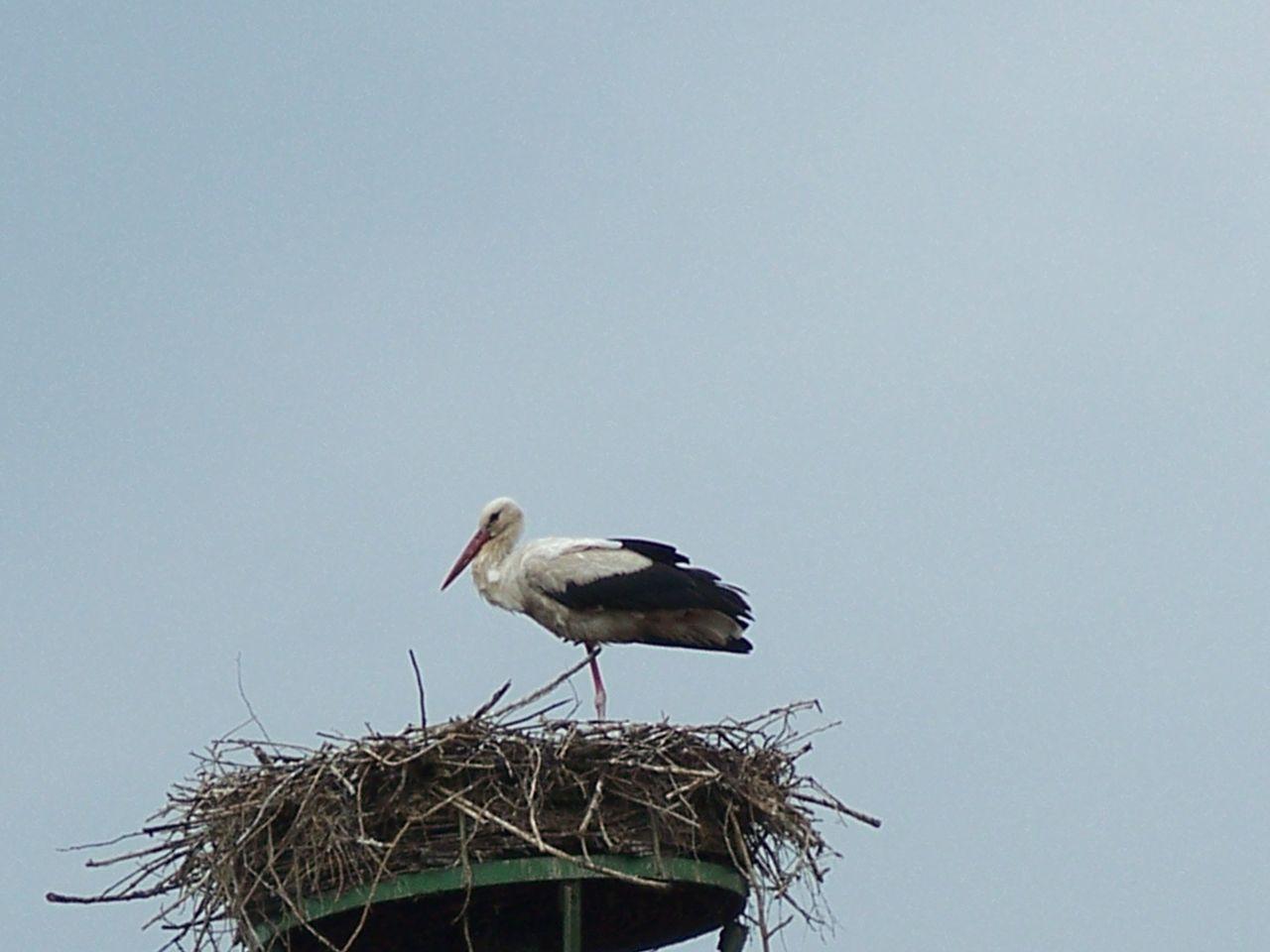 Bild vergr&ouml;ssern