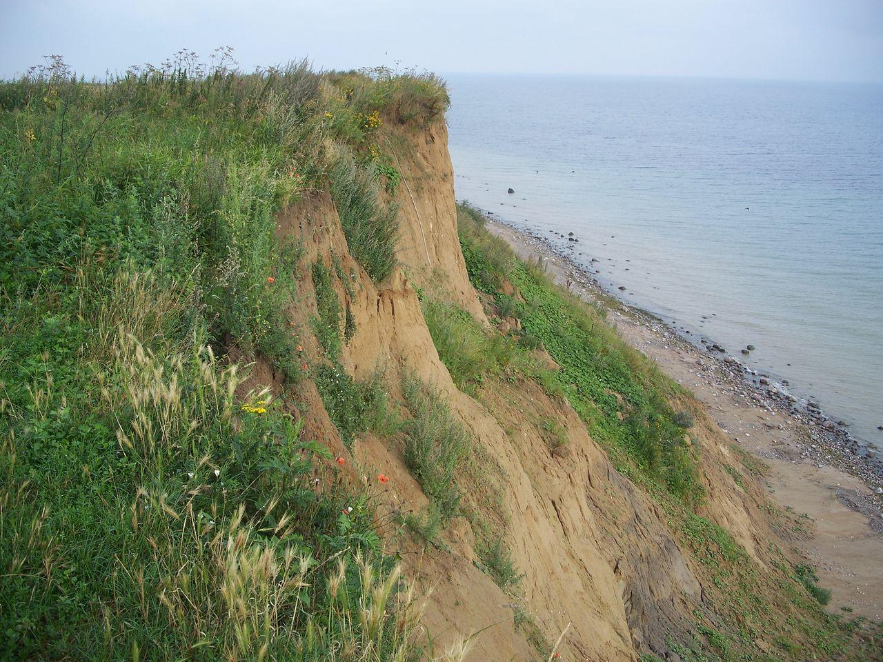 Bild vergr&ouml;ssern