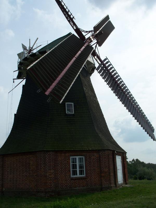 Bild vergr&ouml;ssern