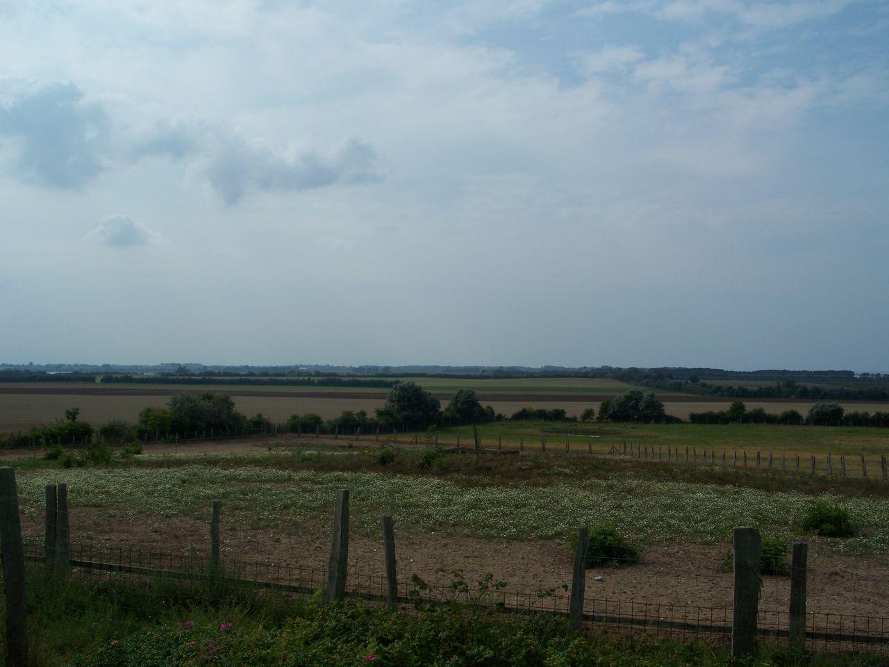 Bild vergr&ouml;ssern