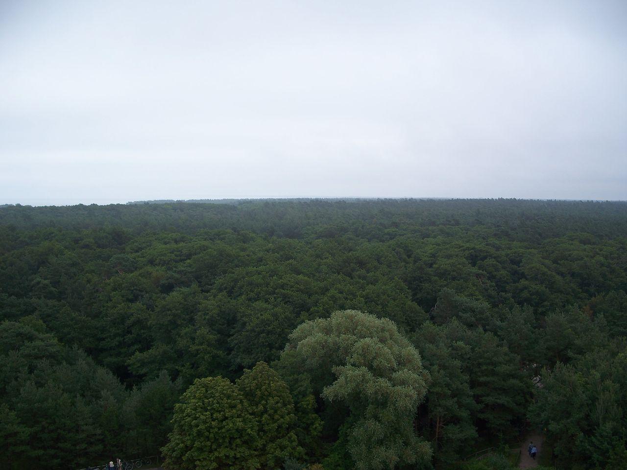 Bild vergr&ouml;ssern