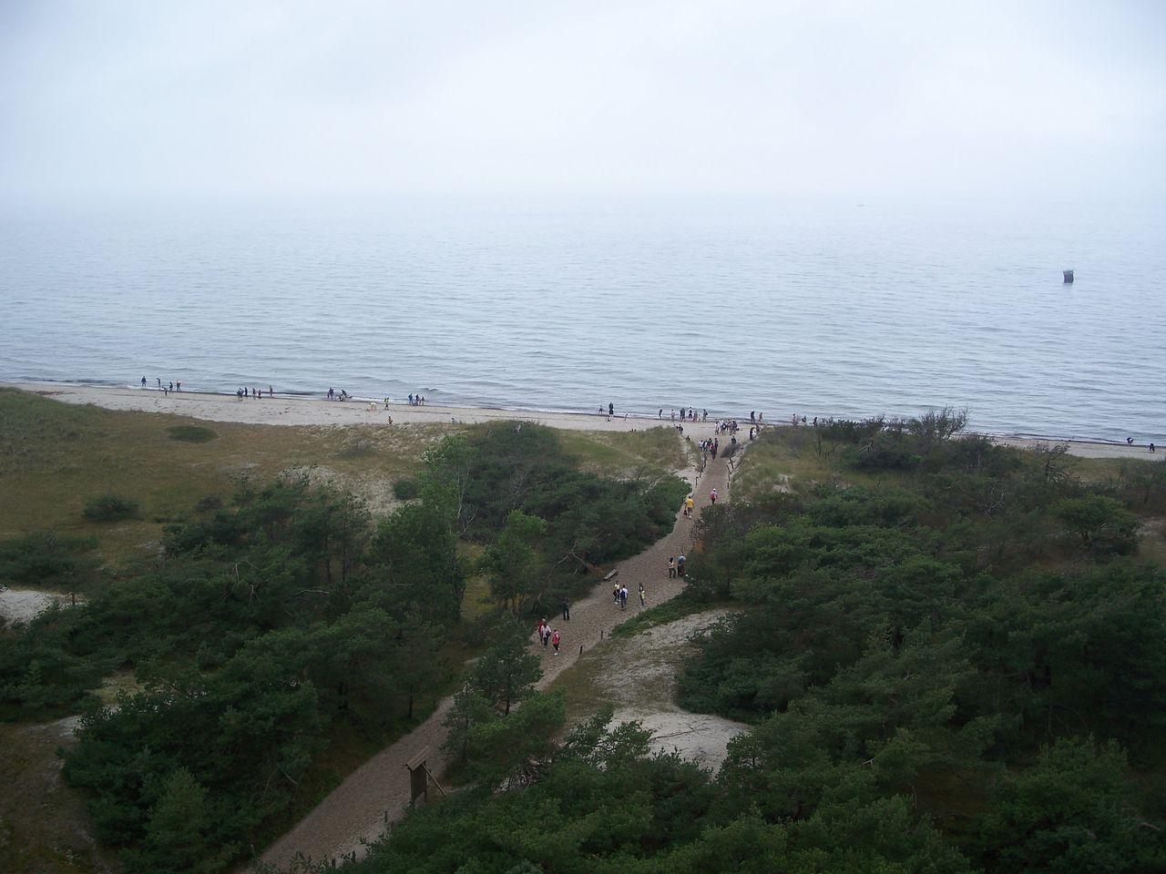 Bild vergr&ouml;ssern