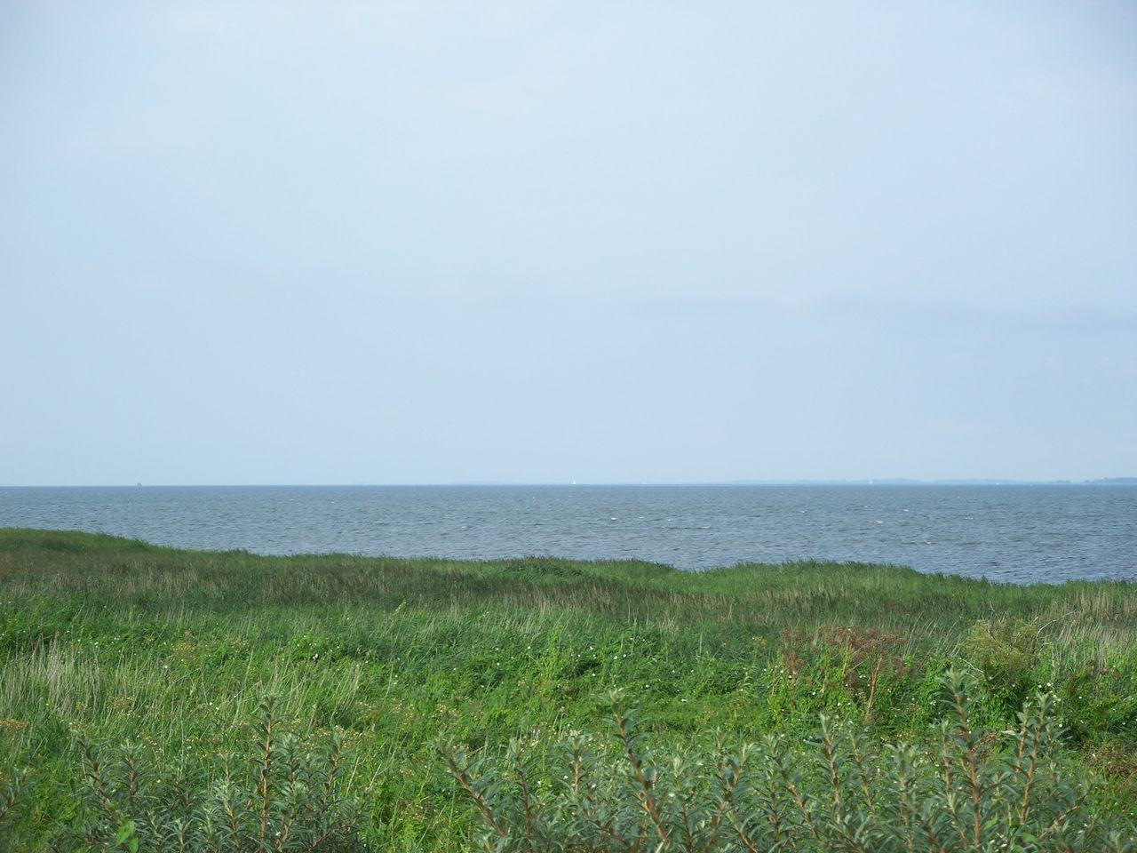 Bild vergr&ouml;ssern