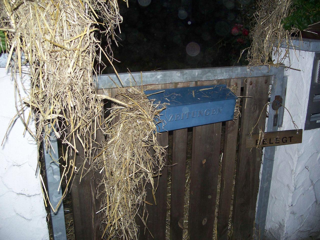 Bild vergr&ouml;ssern