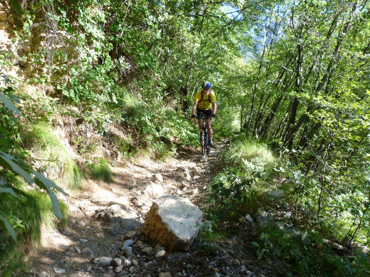 Bild vergr&ouml;ssern