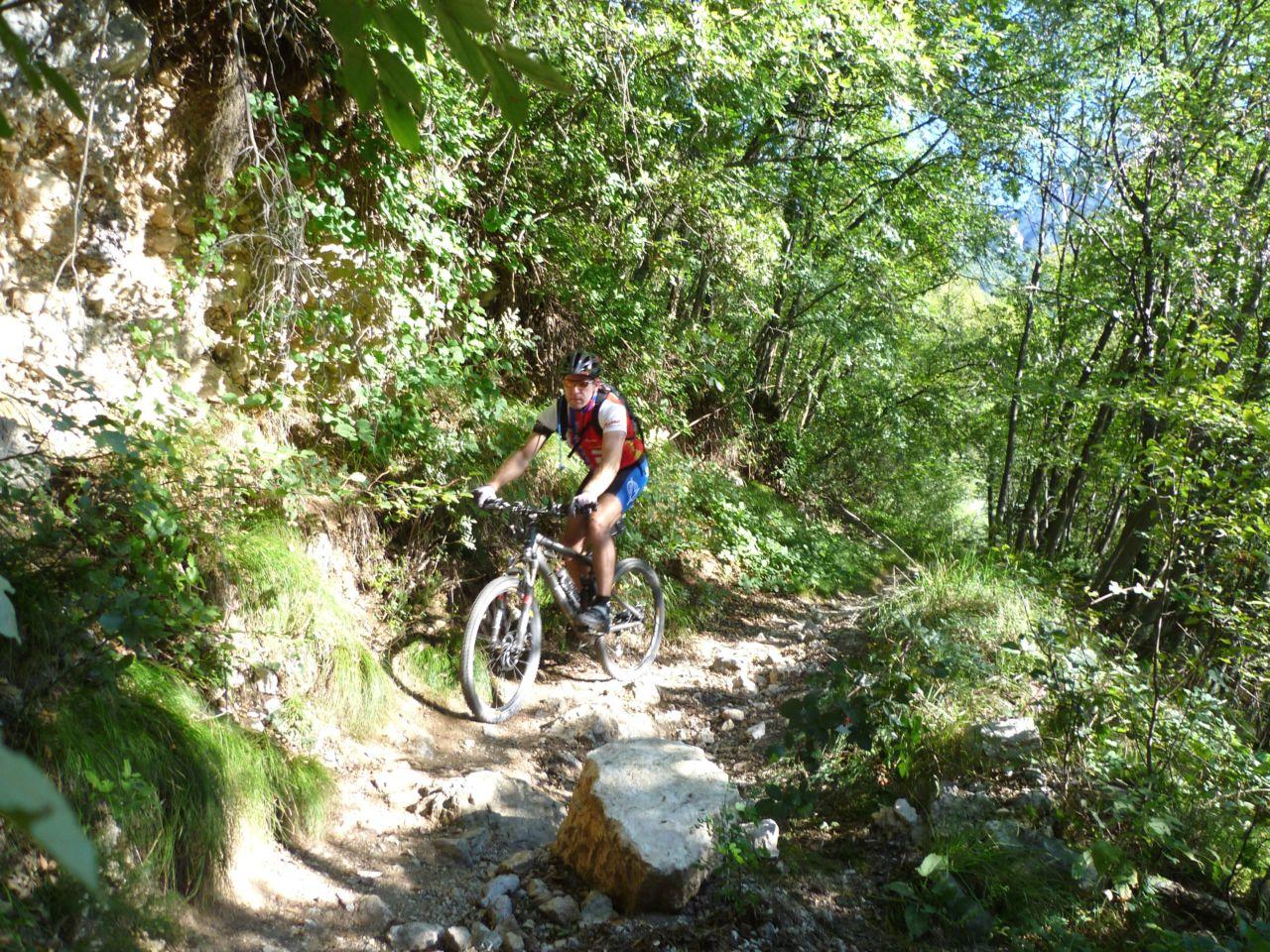 Bild vergr&ouml;ssern