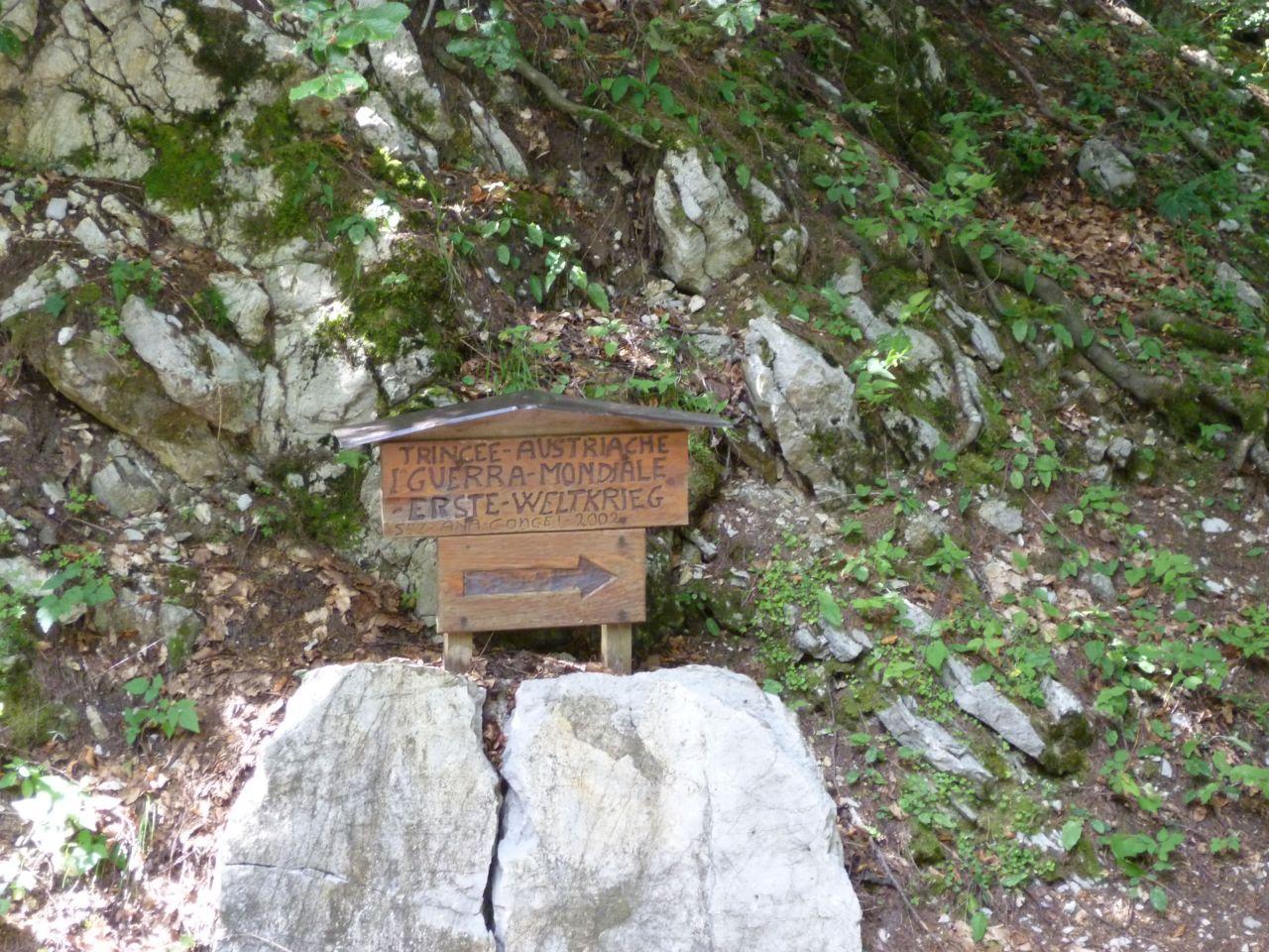 Bild vergr&ouml;ssern