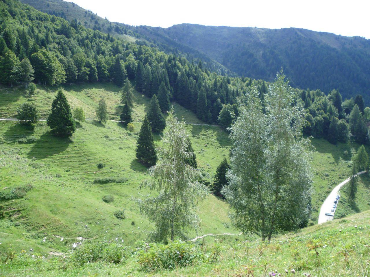 Bild vergr&ouml;ssern