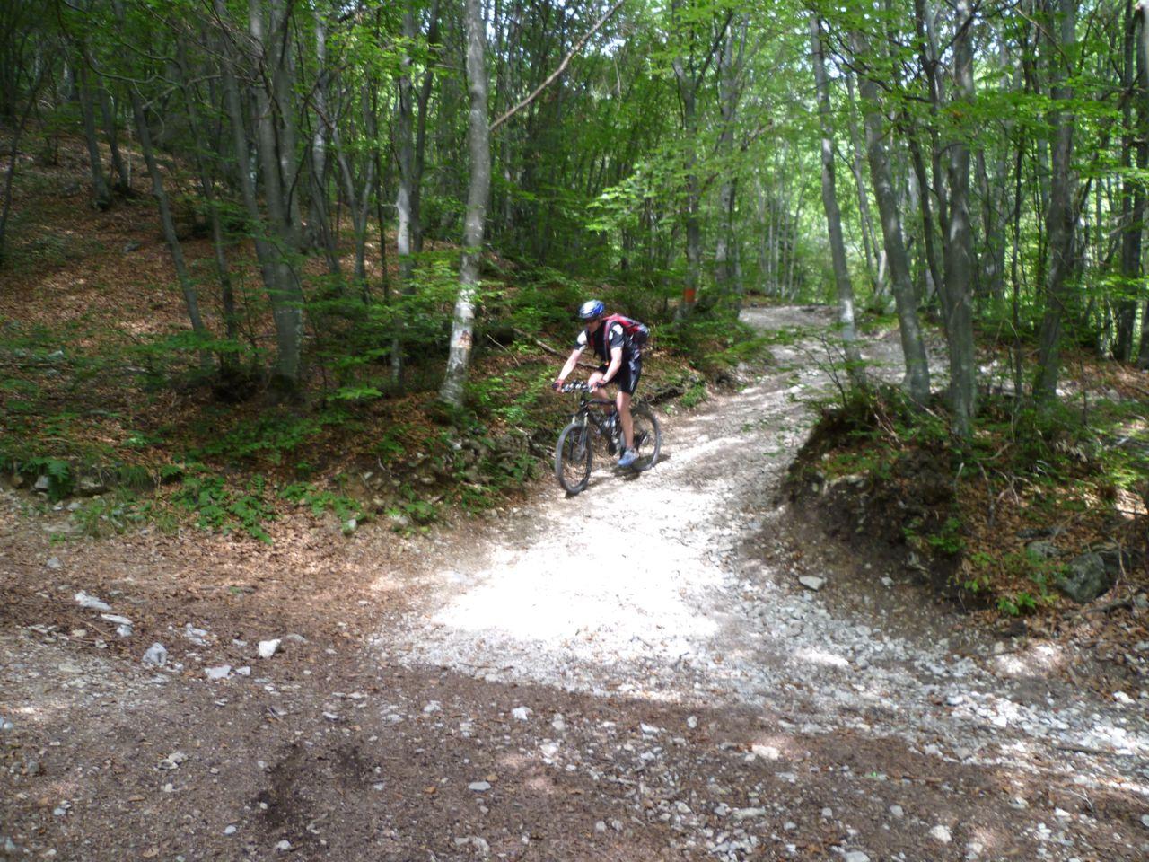 Bild vergr&ouml;ssern