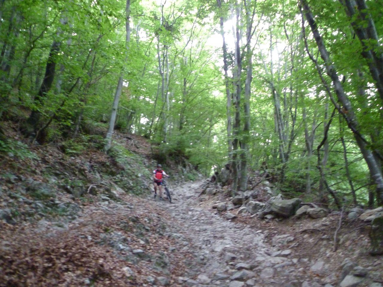 Bild vergr&ouml;ssern