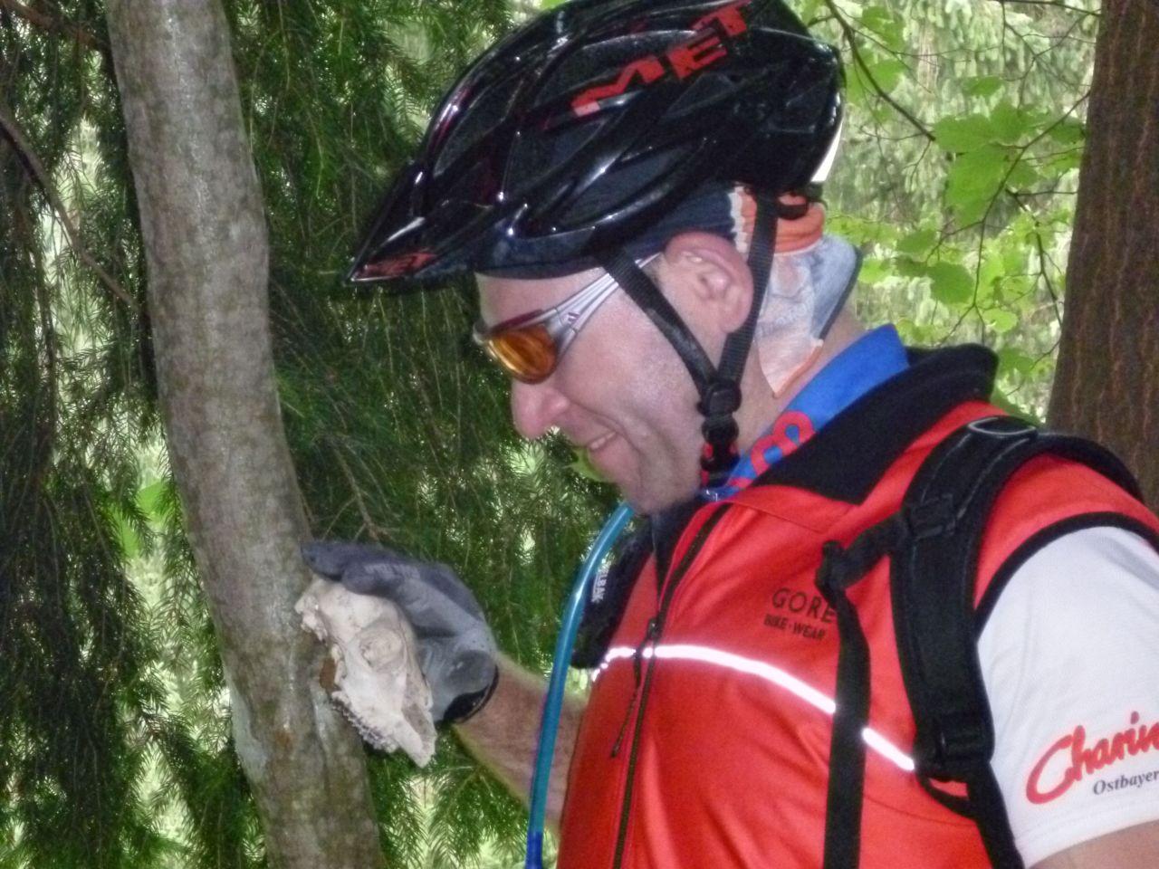 Bild vergr&ouml;ssern