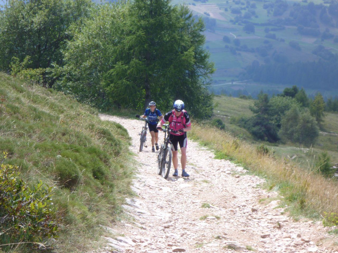 Bild vergr&ouml;ssern