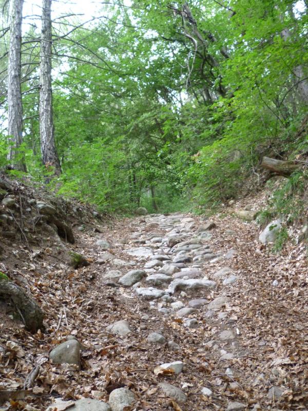 Bild vergr&ouml;ssern