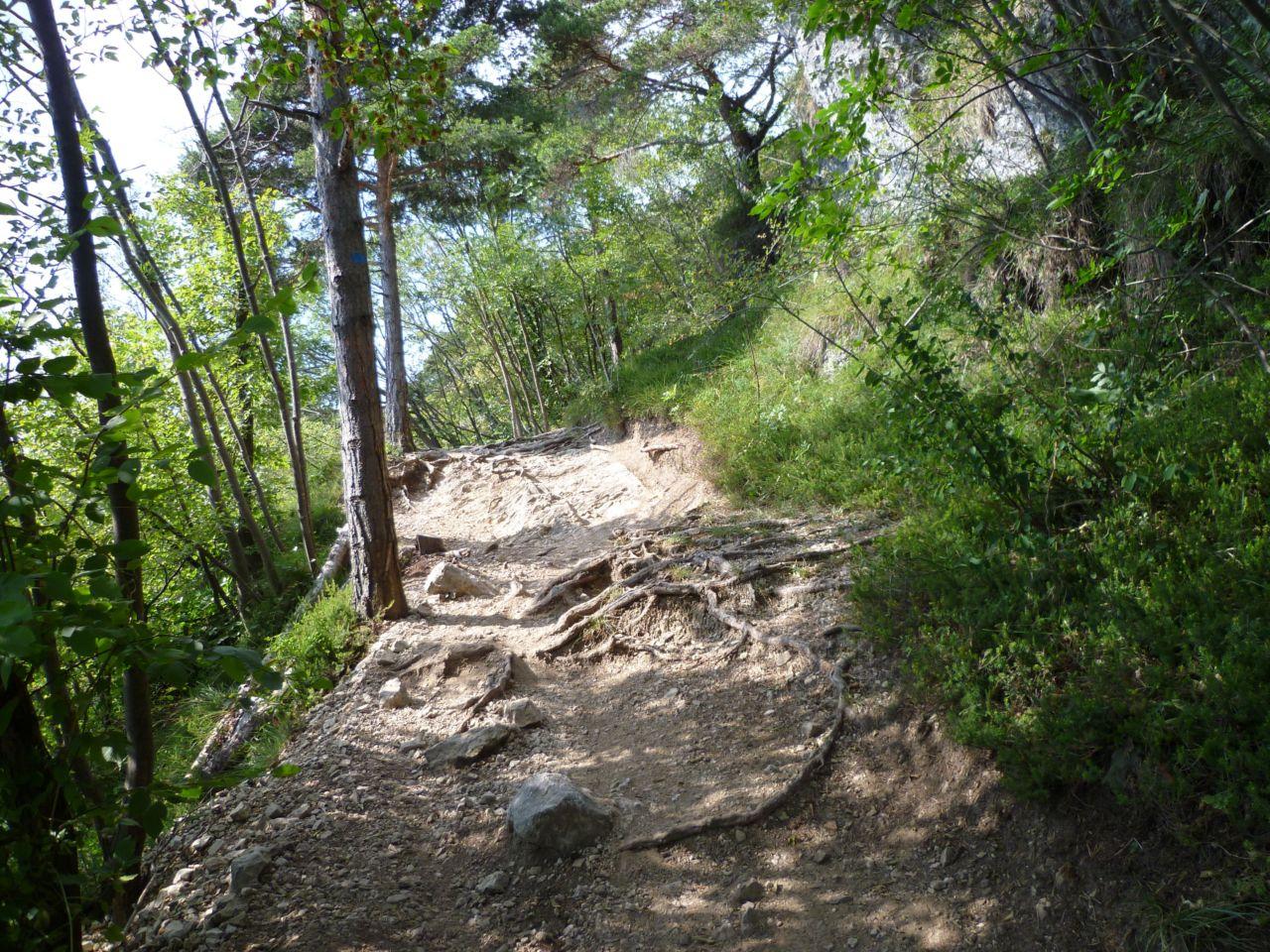 Bild vergr&ouml;ssern