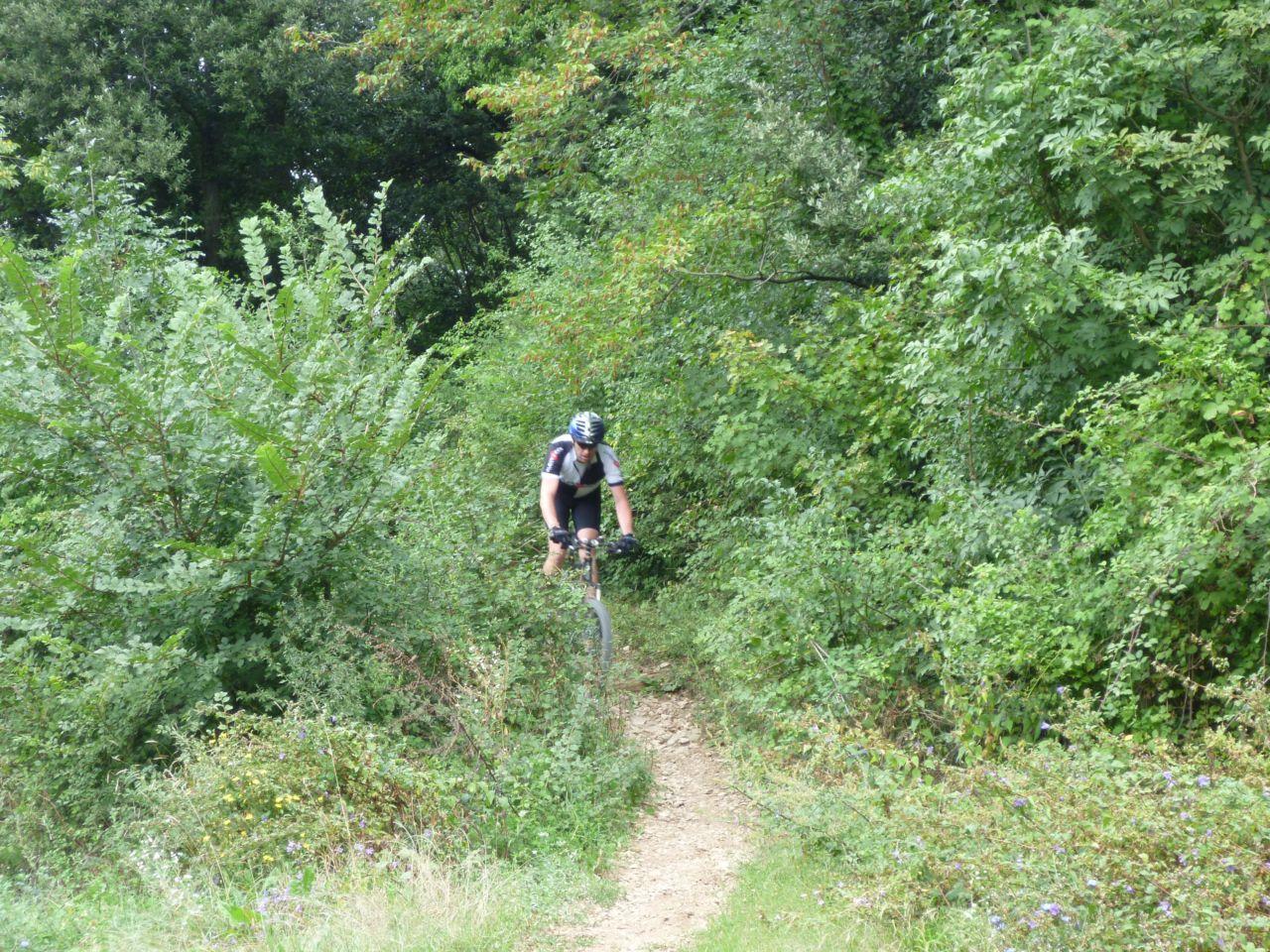 Bild vergr&ouml;ssern