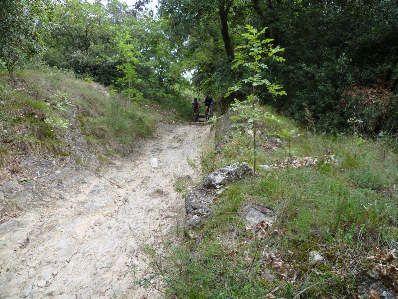 Bild vergr&ouml;ssern