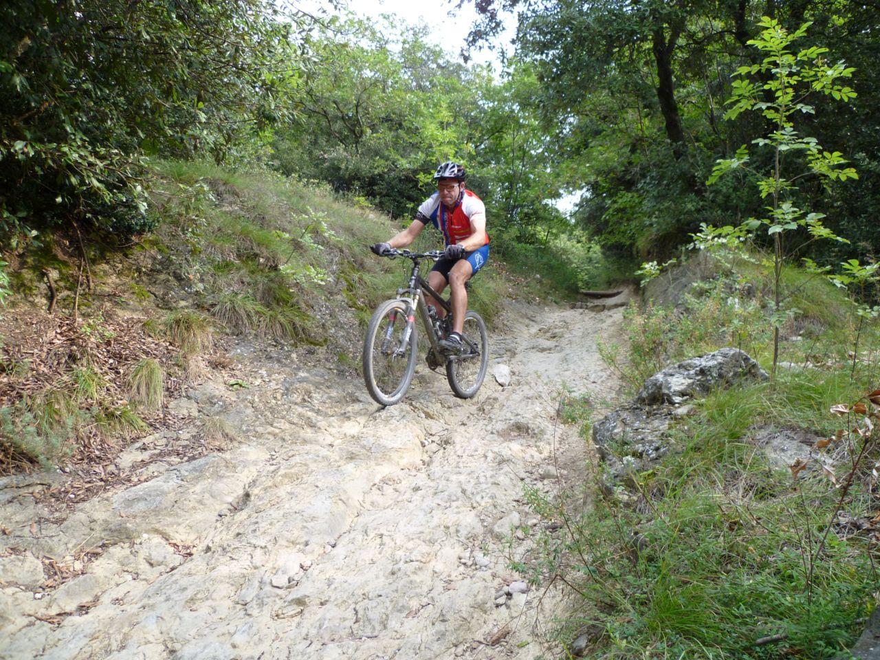 Bild vergr&ouml;ssern