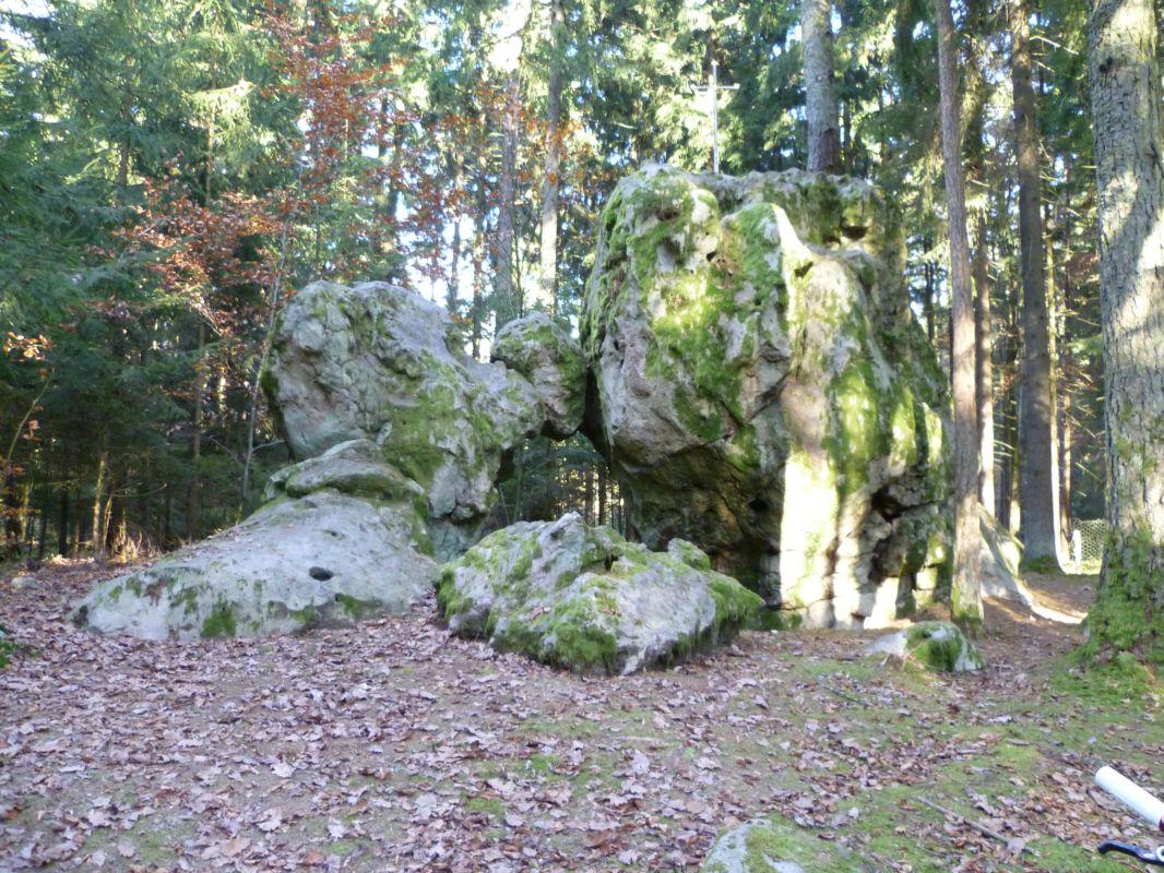 Bild vergr&ouml;ssern