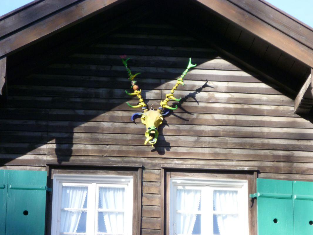 Bild vergr&ouml;ssern